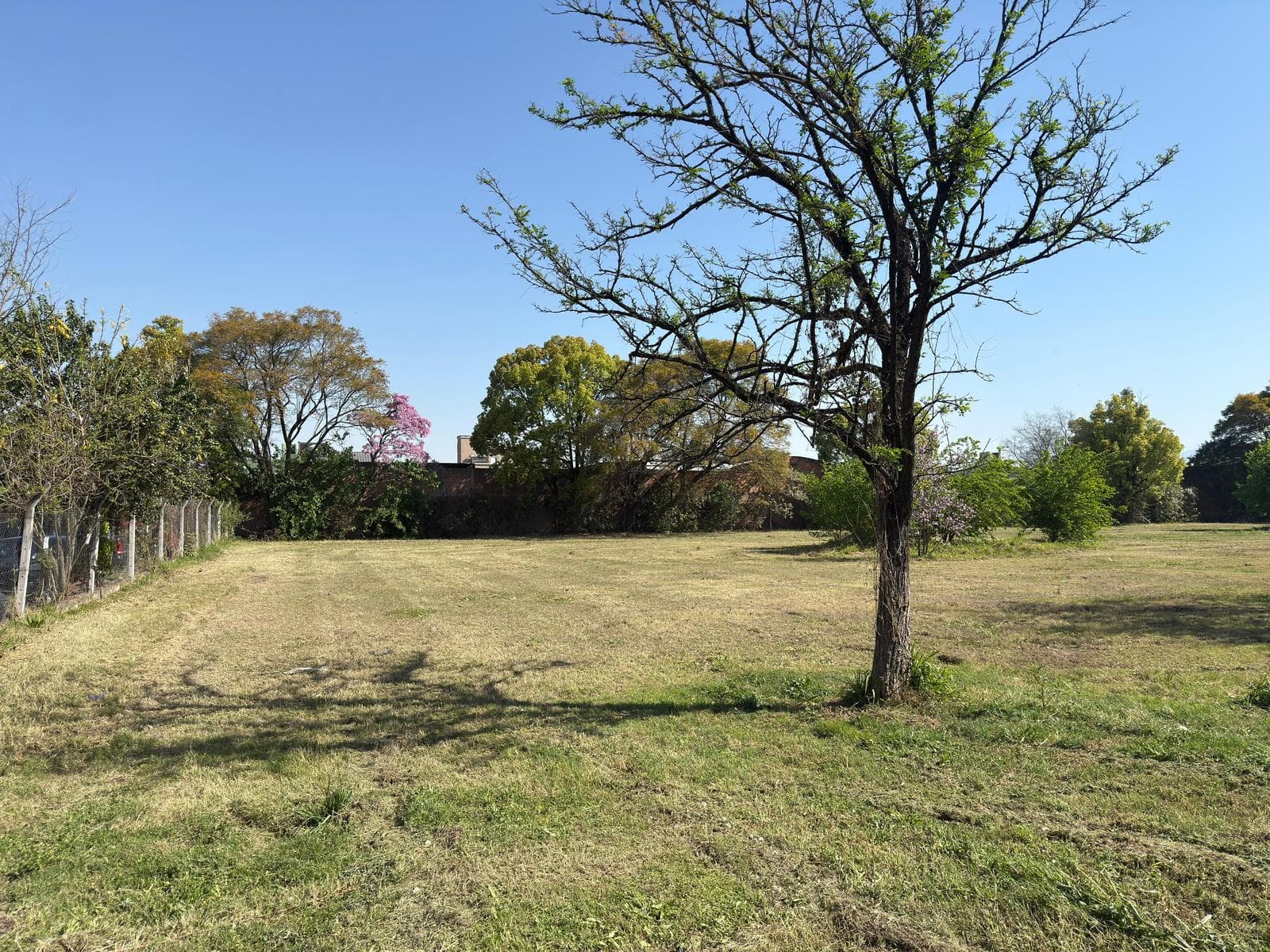 Alquiler terreno en Adolfo de la Vega al 400 - S. M. de Tucumán - 2