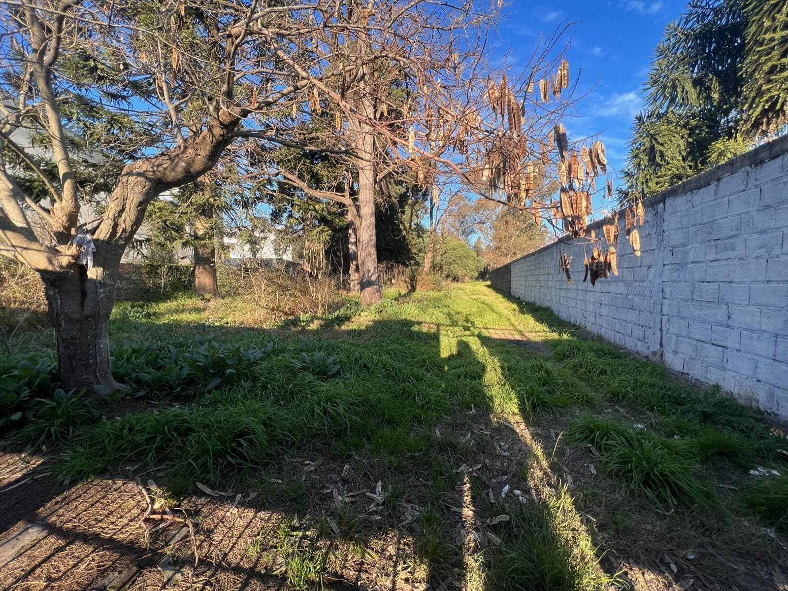 Terreno en venta en Melchor Romero - 1