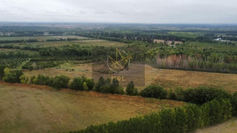 FINCA 40 HECTAREAS EN VENTA EN TUNUYAN MENDOZA - 1