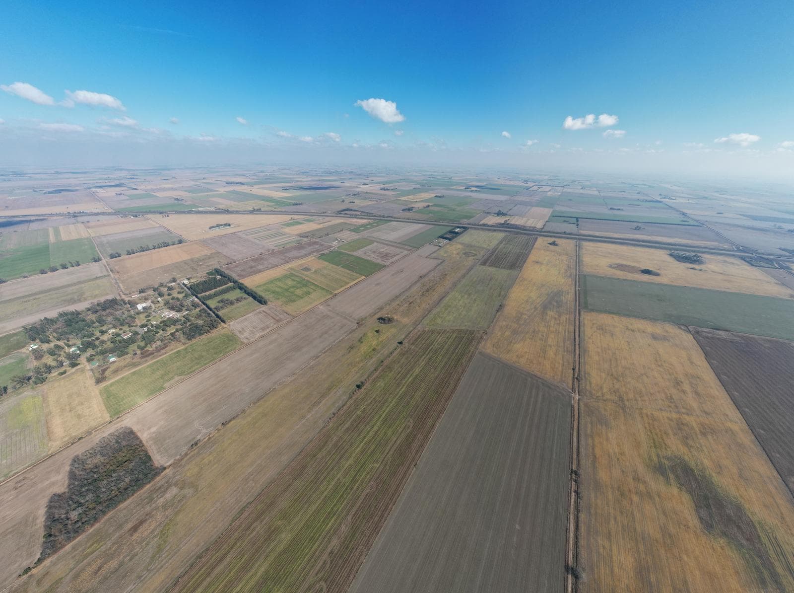 Campo en VENTA 36 hectáreas CLASE 1 Oliveros, Sta Fe - 1