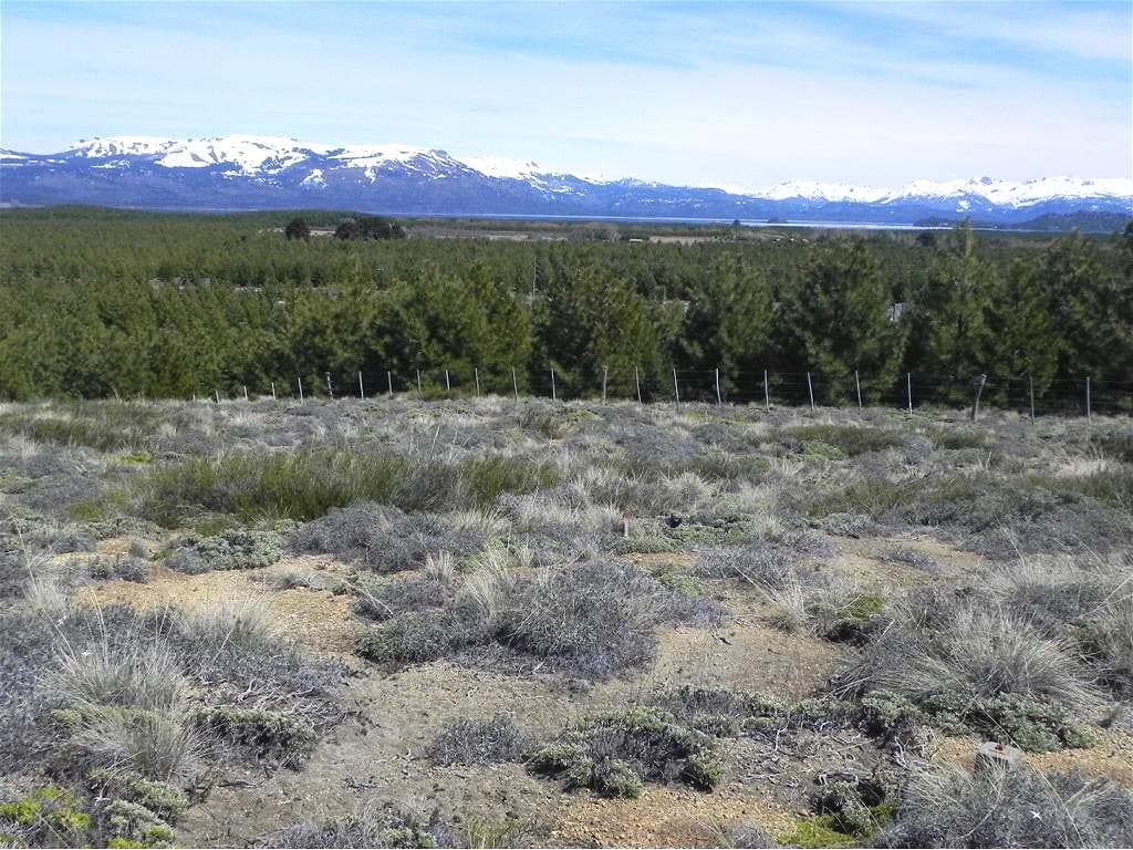 TERRENO DE 4 HAS EN VILLA PEHUENIA IDEAL COMERCIAL - DESARROLLO - 1