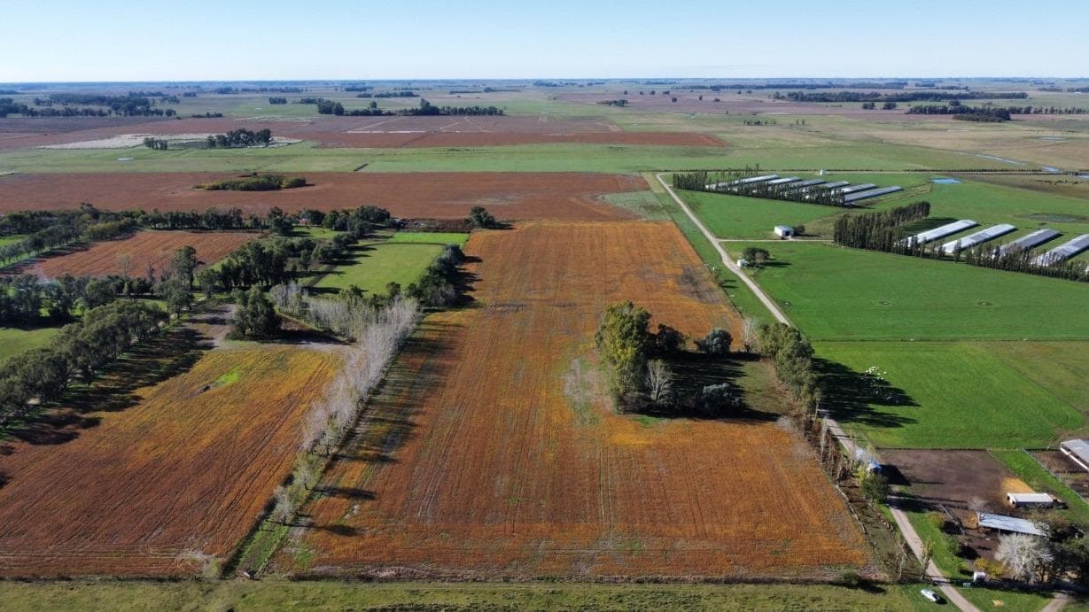 Venta - Campo - Paraje Culú-Culú - Lobos - 1