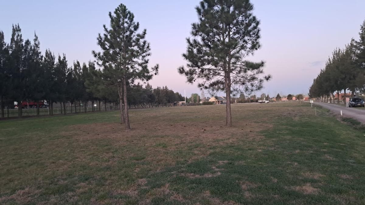 Terreno - Fincas de San Vicente - 1