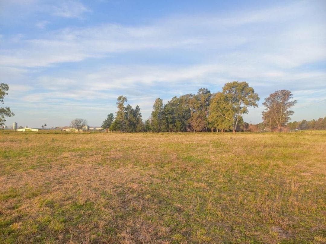 Terreno en venta - 140.000Mts2 - San Andrés de Giles - 1