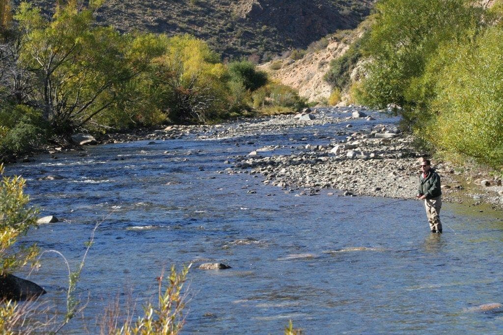 Campo en Venta 486 Has con costa del Alto Rio Chubut - 1