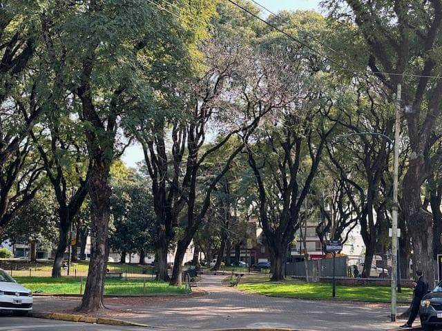 Interesante LOTE DE 363 M2 frente a la PLAZA - 1
