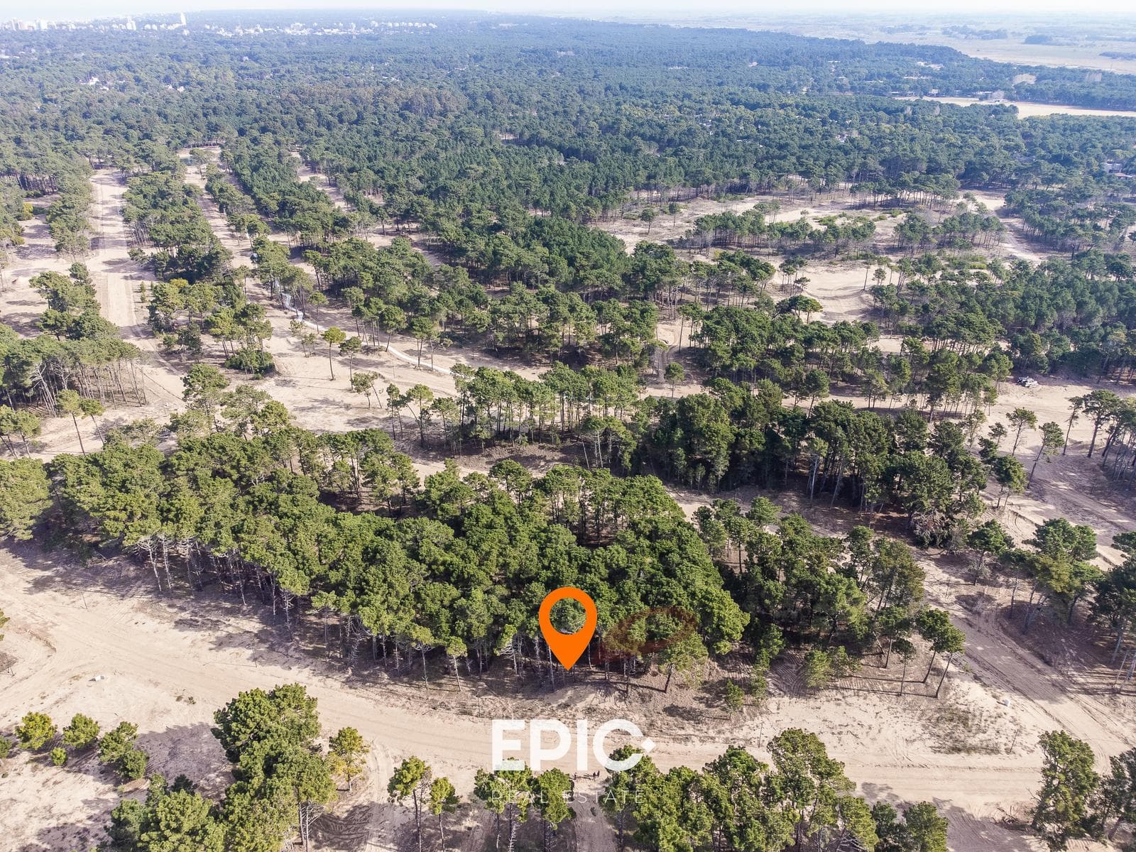 Terreno en venta en Bosques, Pinamar - 1