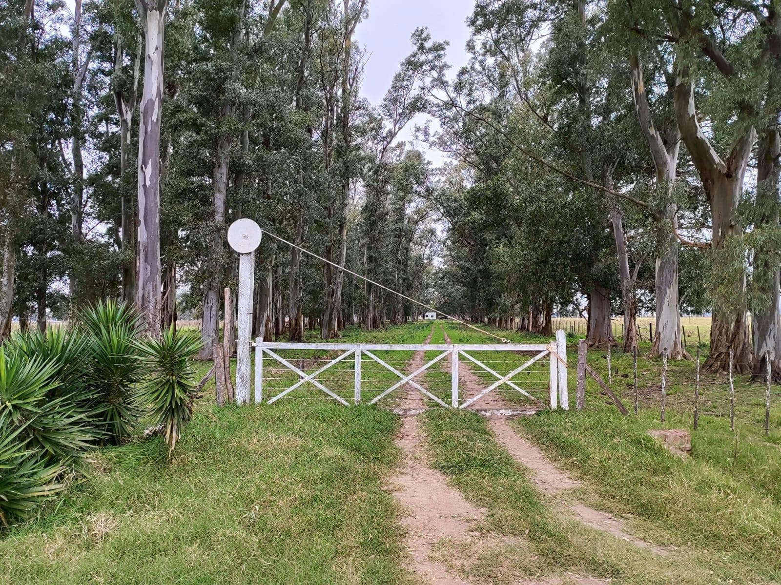 Campo en LA PLATA - 1