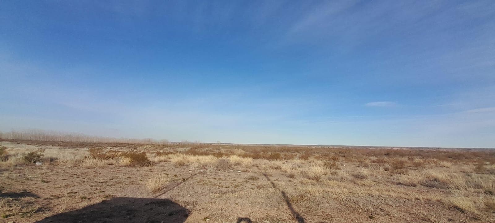 Campo en Senillosa - 1