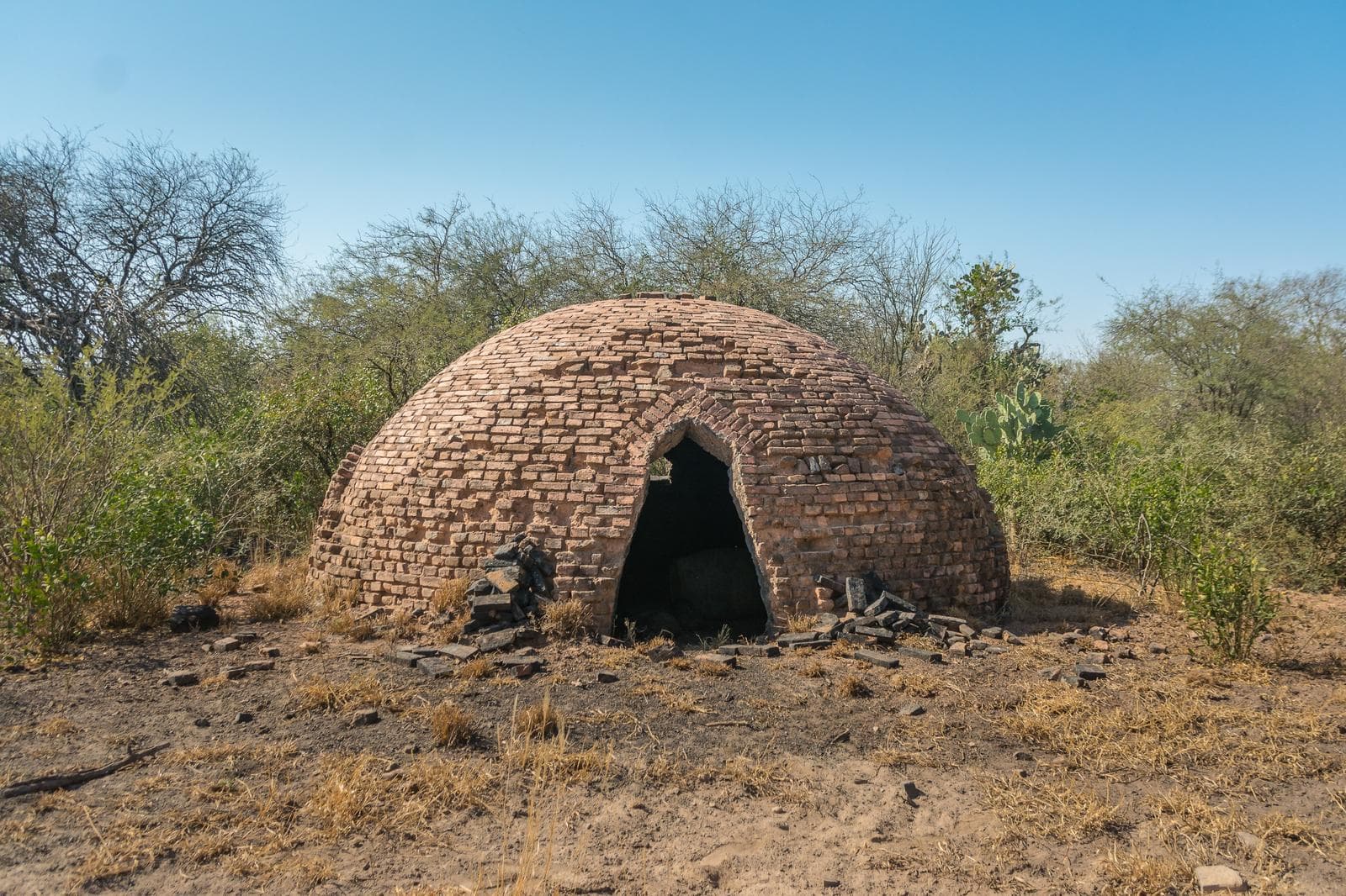 RETASADO OPORTUNIDAD Campo Agrícola Ganadero 531 Ha_ Dis. Candelaria, Santiago del Estero - 2