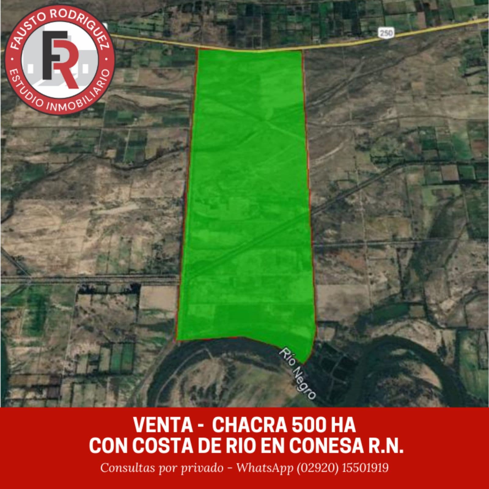 Campo - General Conesa - 1