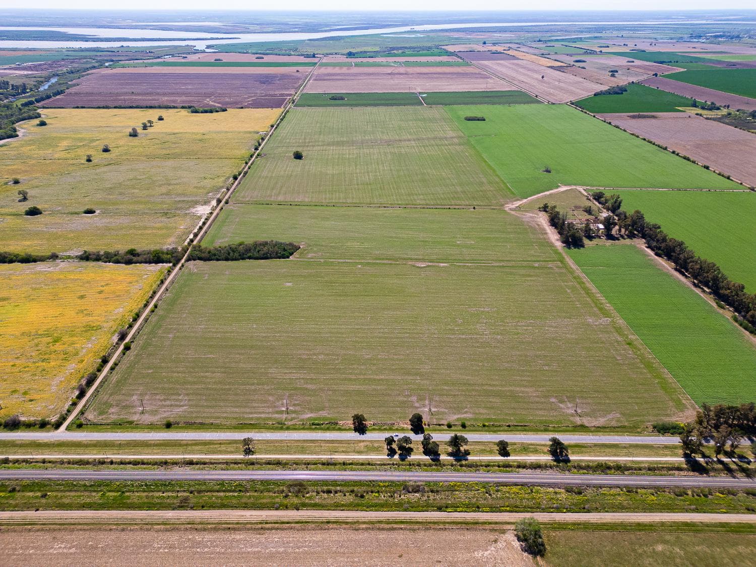 Campo en Pavón, Santa fe. - 1
