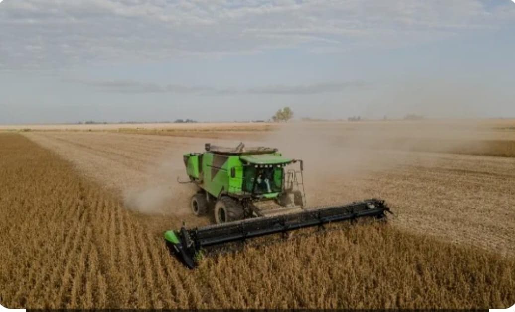 1500 ha - 100% agricola - Bandera - Sgo del Estero - 1