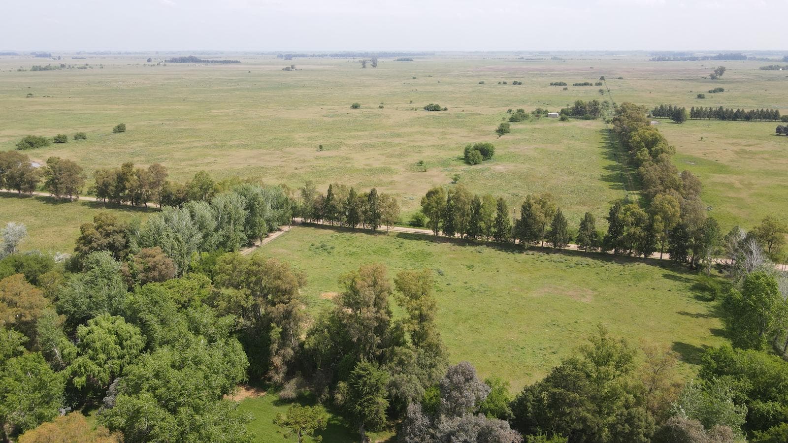 CAMPO 126 HAS CERCA DE RUTA 215 - PRODUCTIVO Y DISFRUTE - LA PLATA - 1