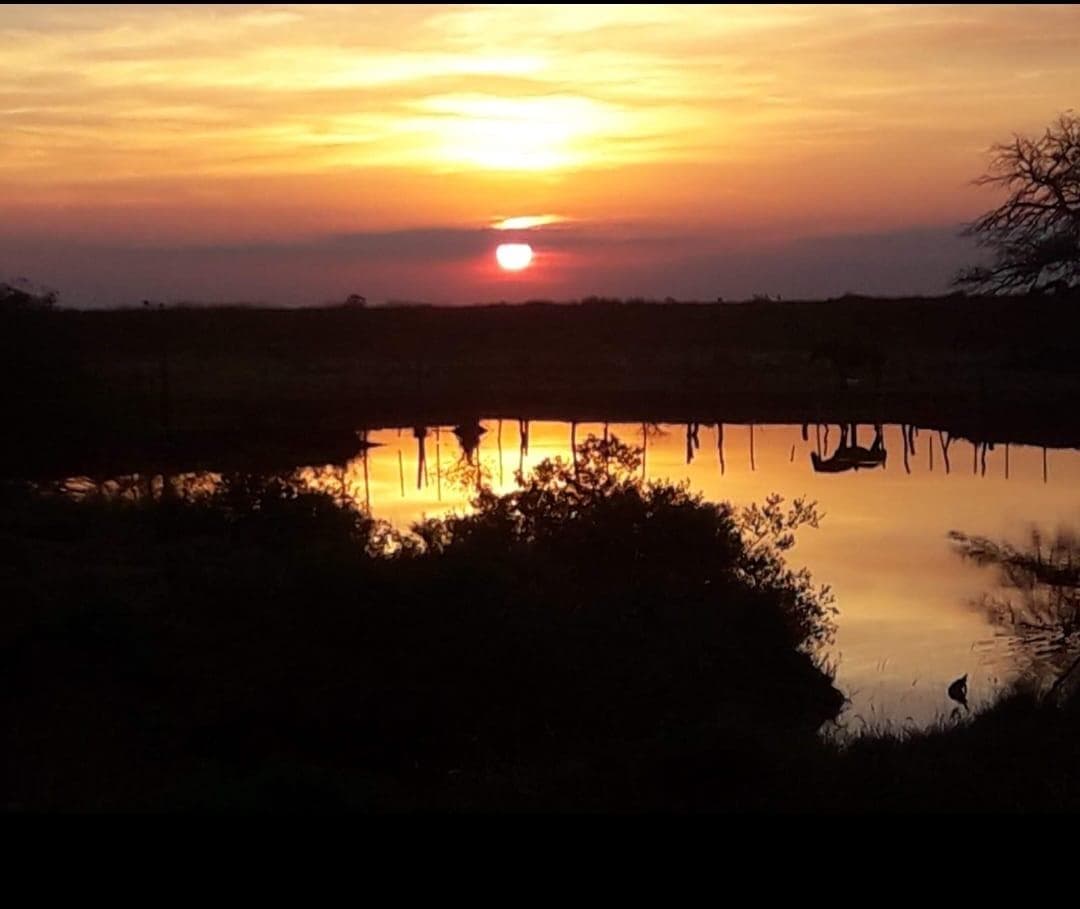 2500 ha - A tranquera cerrada -Malbran - Santiago del Estero - 1