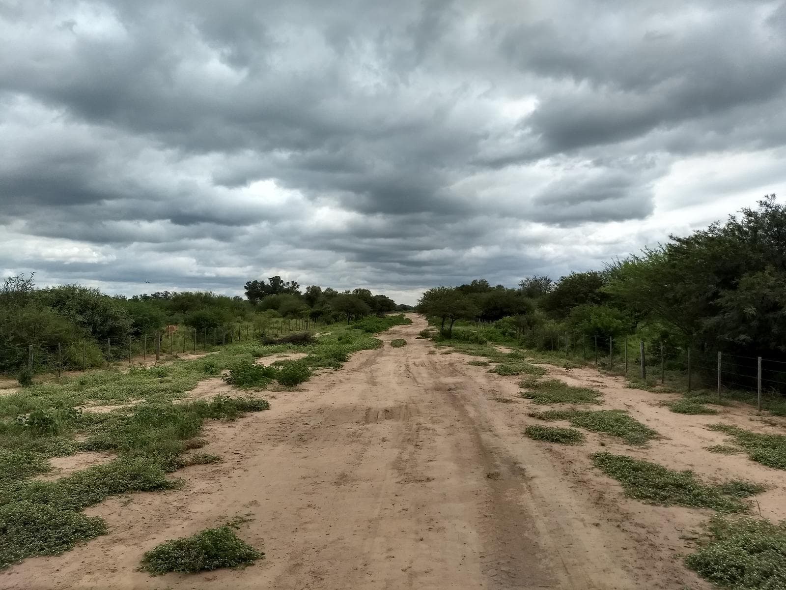 Campo en Venta en Hickman - 1