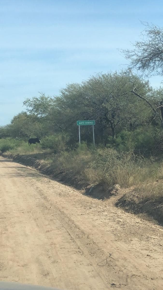 Campo 386ha en Venta, Lugones, Santiago del Estero ! - 1