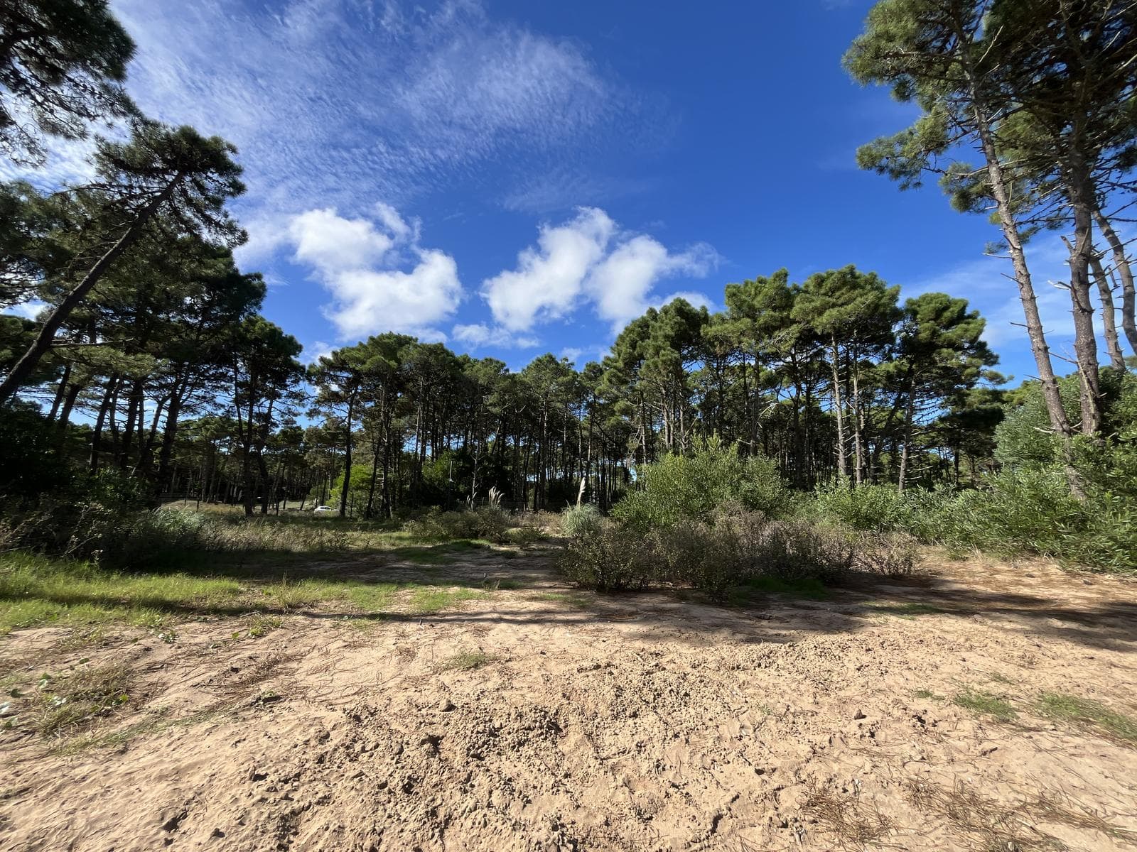Terreno en Venta en barrio Bosques Pinamar - 1