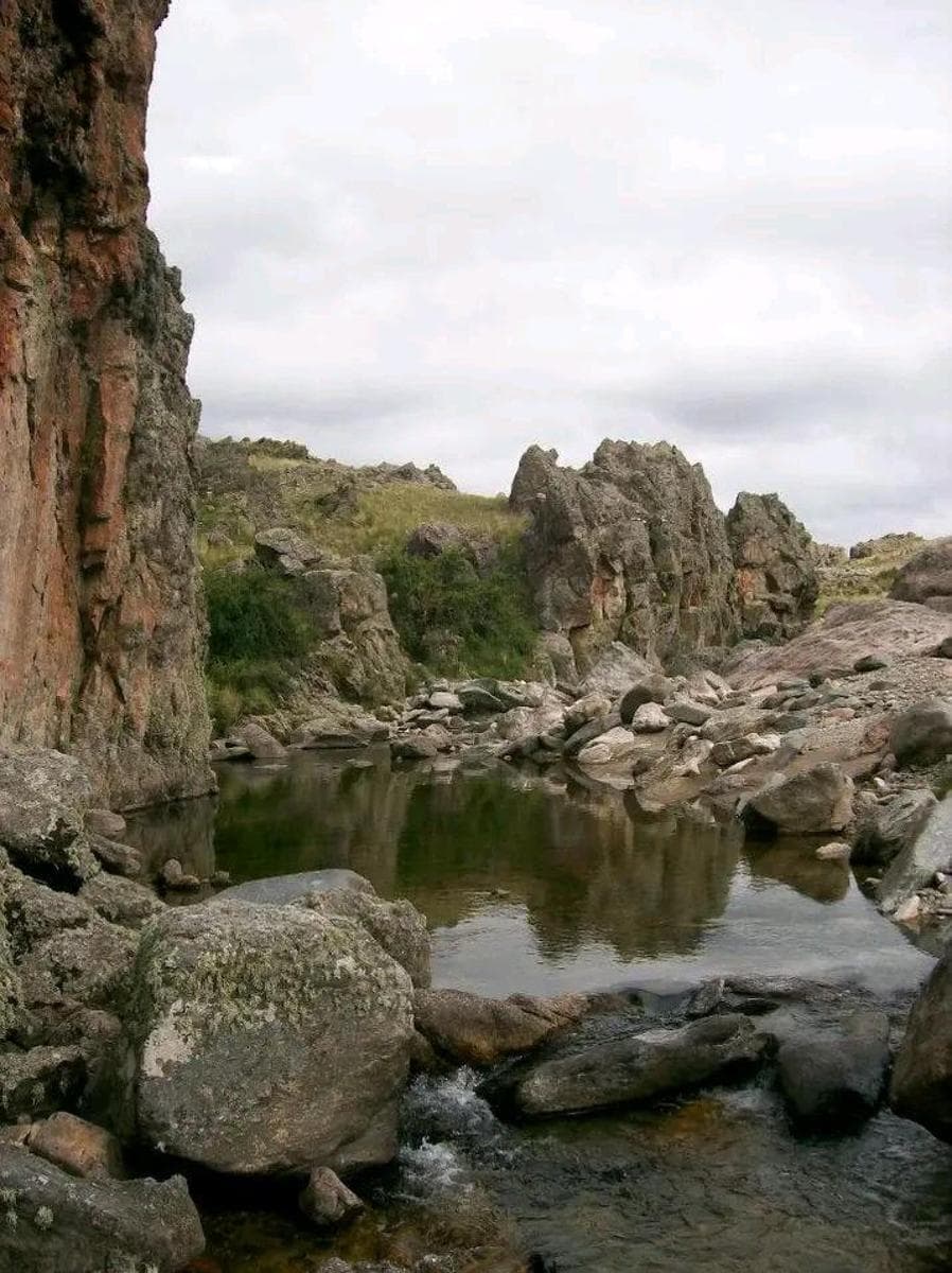 Campo en venta - 52 Ha - Córdoba - 1