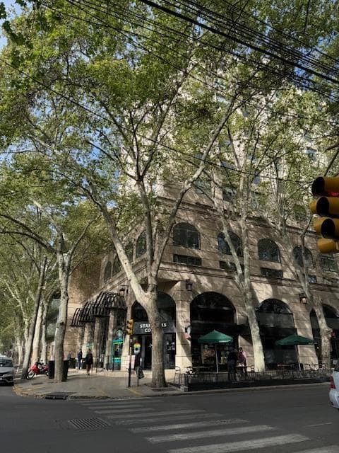 Oficina en Alquiler - Edificio The Plaza Bussisnes - Mendoza - 1