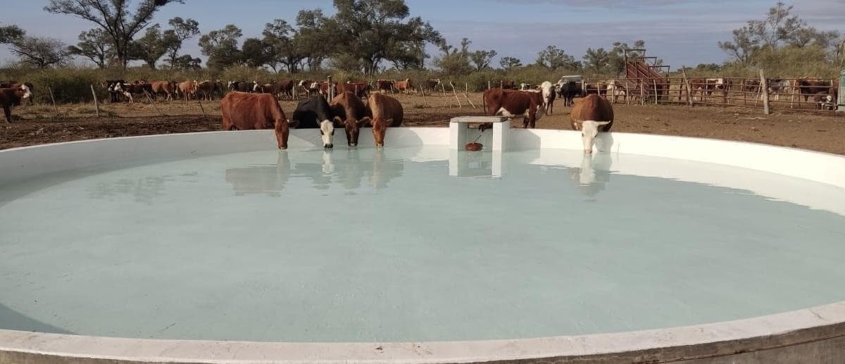 Campo en venta de 3.000 Hectáreas en Las Tolderías Santiago del Estero. - 1