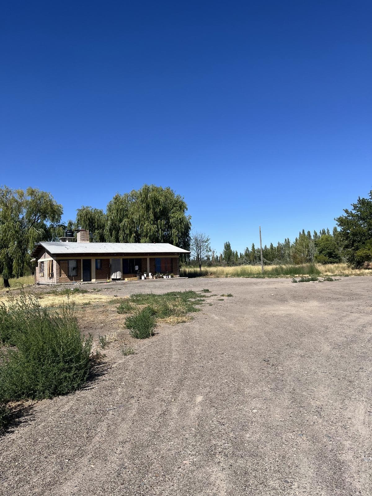 Venta predio Mainque - 1