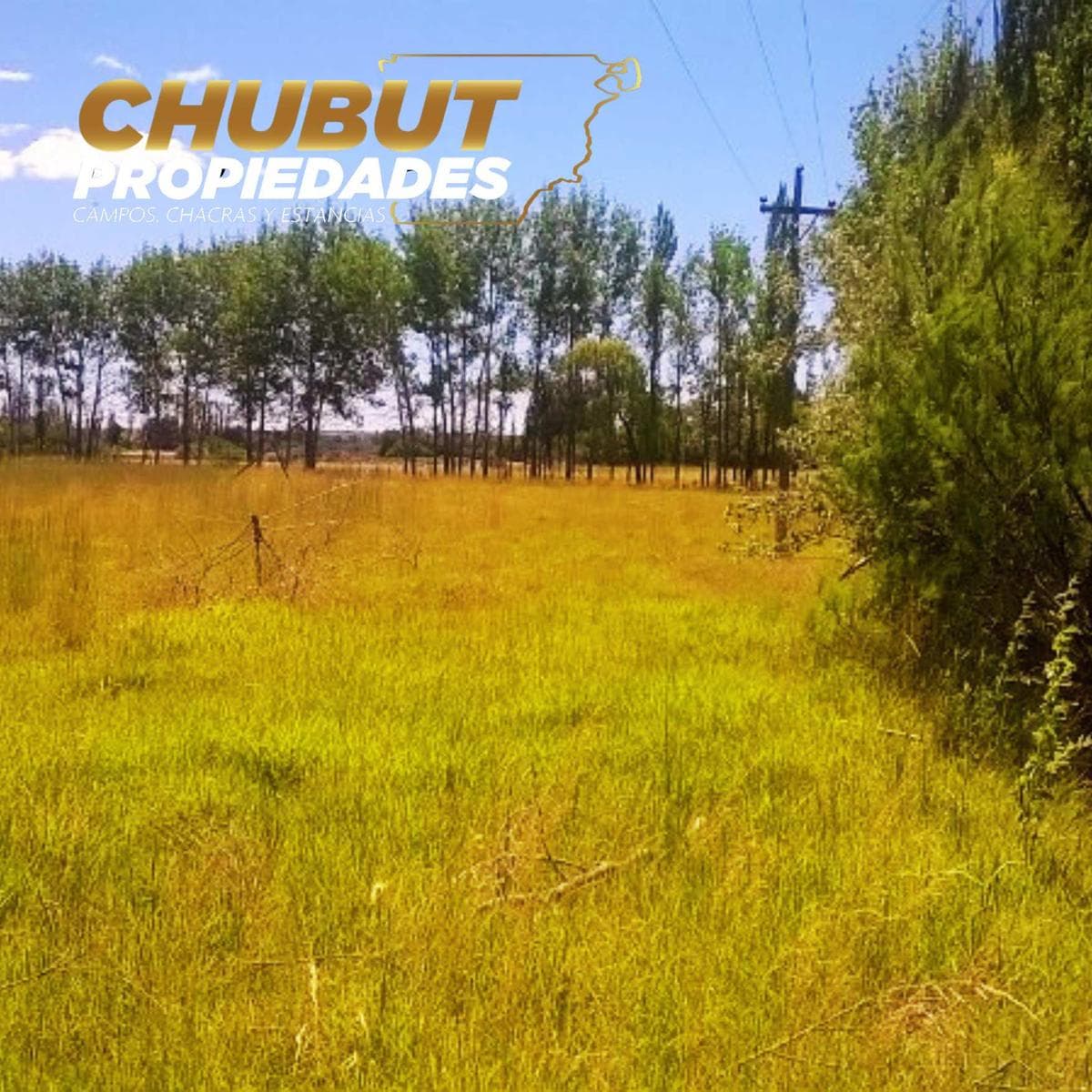 Chacra en Trelew - 1