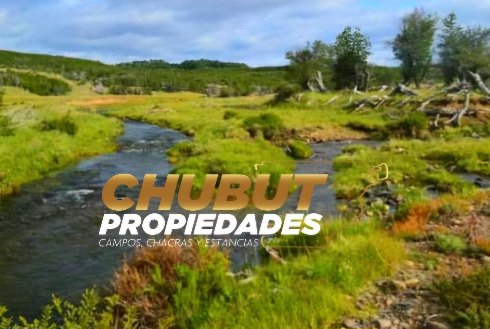 Campo multiproposito en Cholila - 1