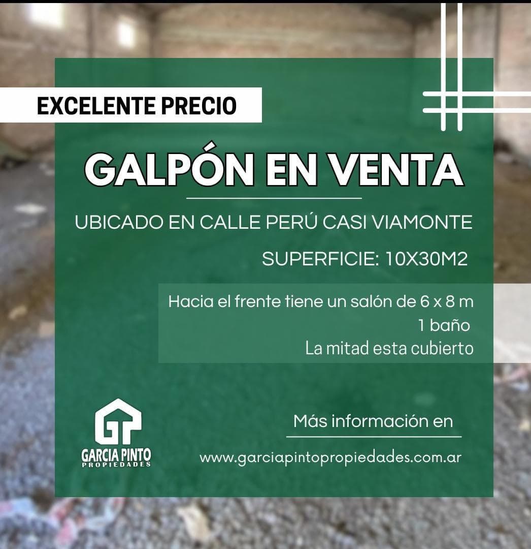 Local en Perú casi Viamonte. - 1
