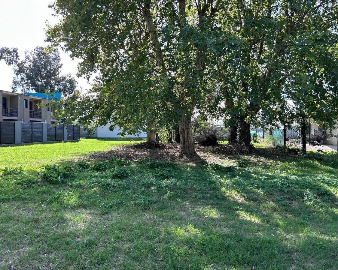 Lote . | Martinez - 1