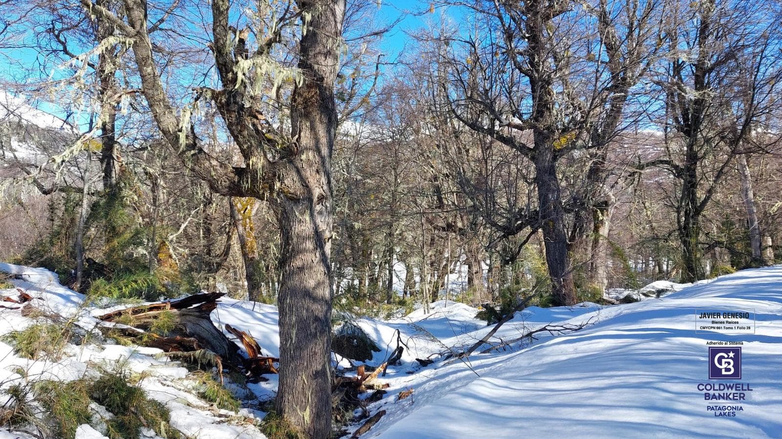 VENTA Lote 6100m2 Vista a la montaña Club de Campo Valle Escondido, San Martin de los Andes - 1