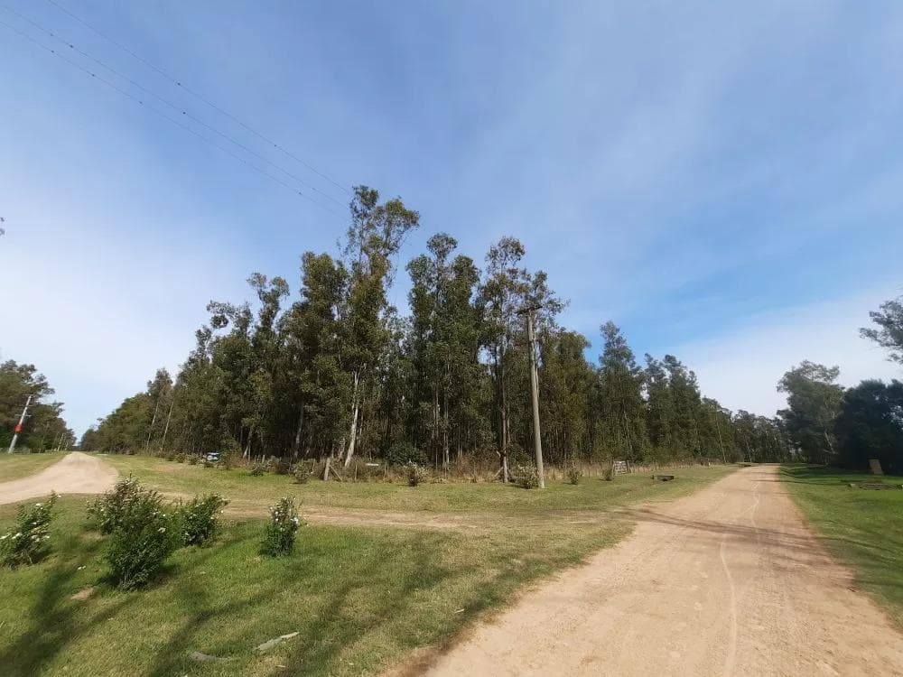 Terreno en venta - 10.000Mts2 - El Paraíso, Ramallo - 1