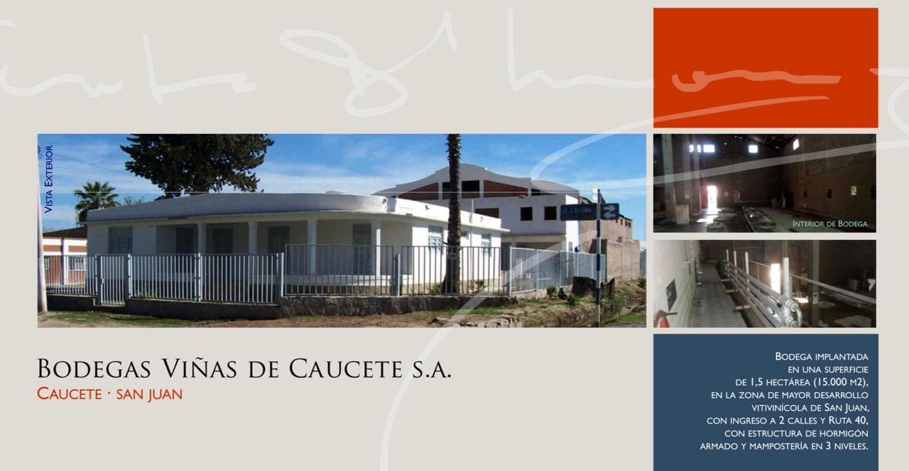 Bodega Viñas De Caucete S.A - 1