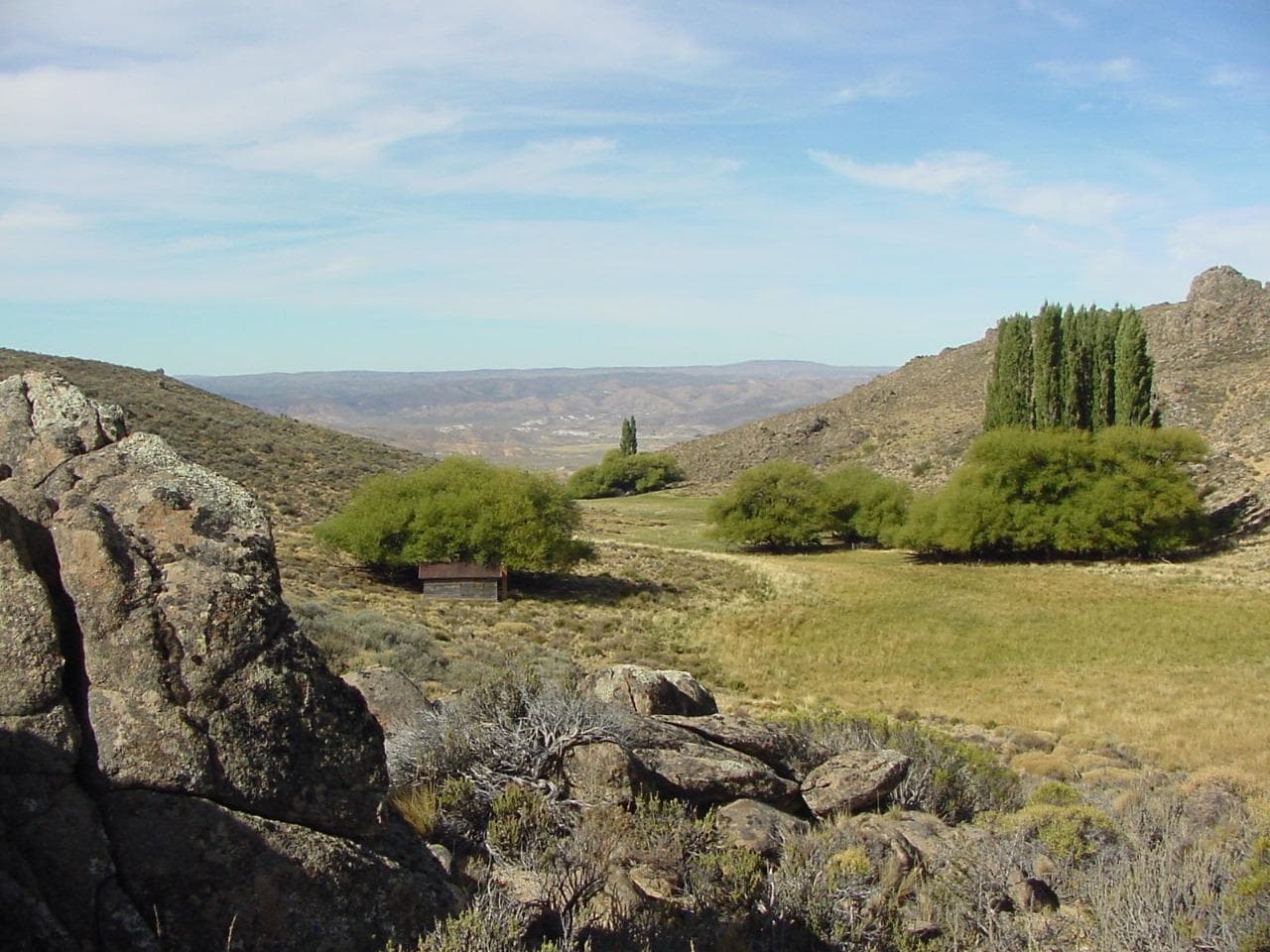 Campo en Río Negro 10.000 hectáreas - 1