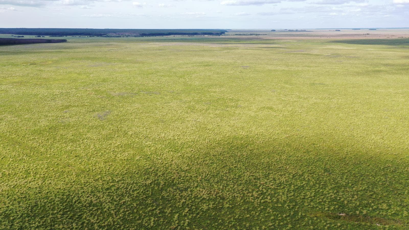 Se Vende Campo de 10.000 ha Corrientes, Argentina - 1