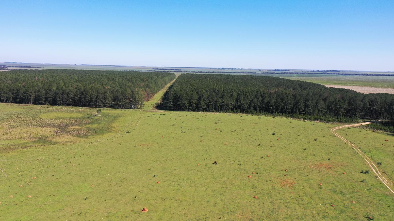 Se Vende Campo Ganadero de 450ha en Corrientes, Argentina - 1