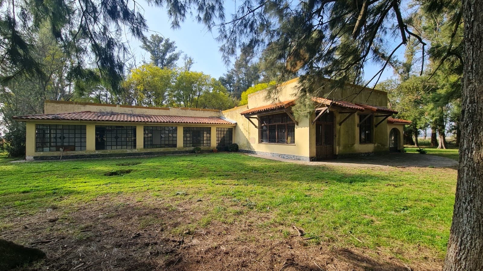 Campo de 40ha en Carlos Keen con hermosa arboleda - 1