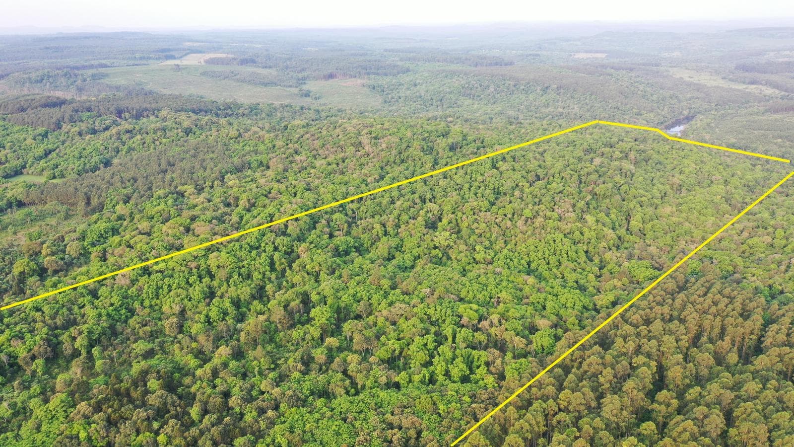 Chacra de 53ha en Venta en Puerto Piray, Misiones - 1