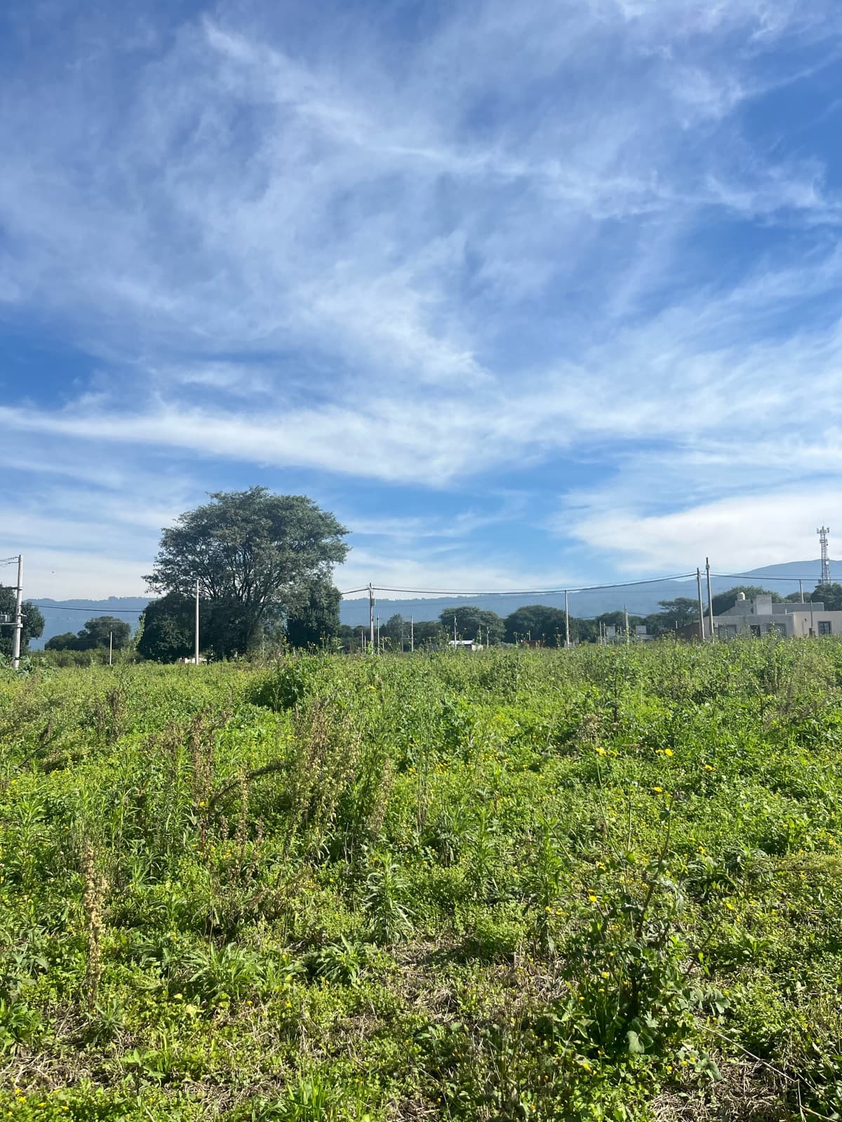 Terreno en Villa Carmela - 1