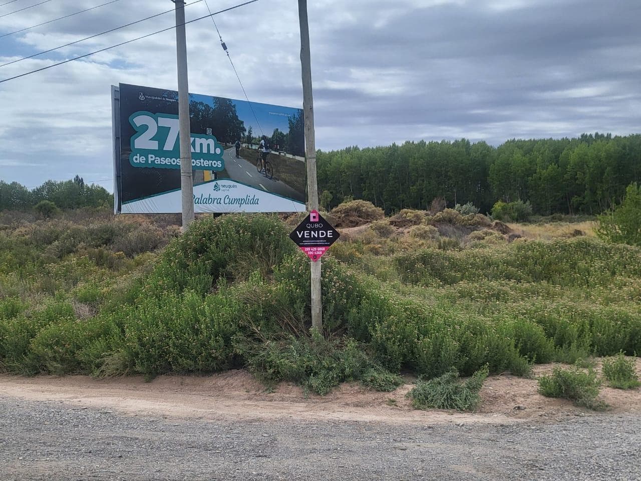 Terreno sobre ruta 22 en Senillosa - 1
