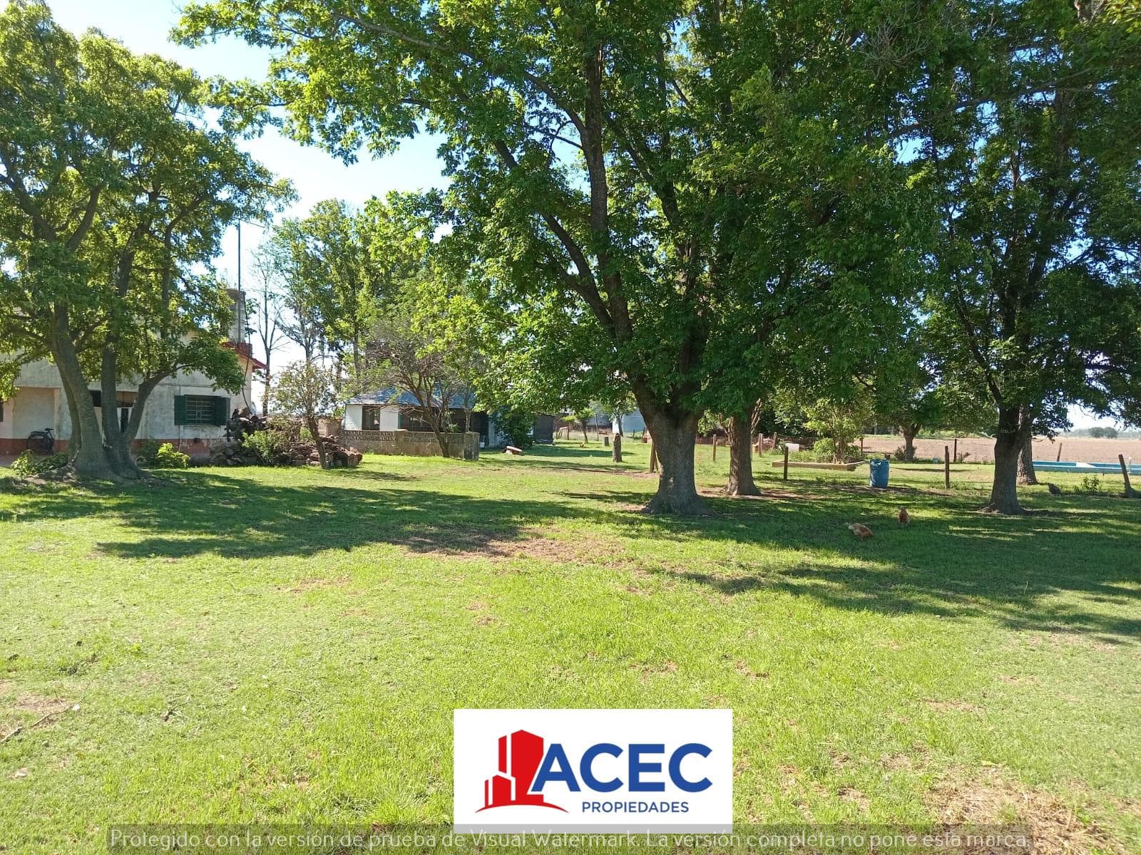 Venta - Campo de 3,4 has, sobre Ruta 91, Oliveros - 1