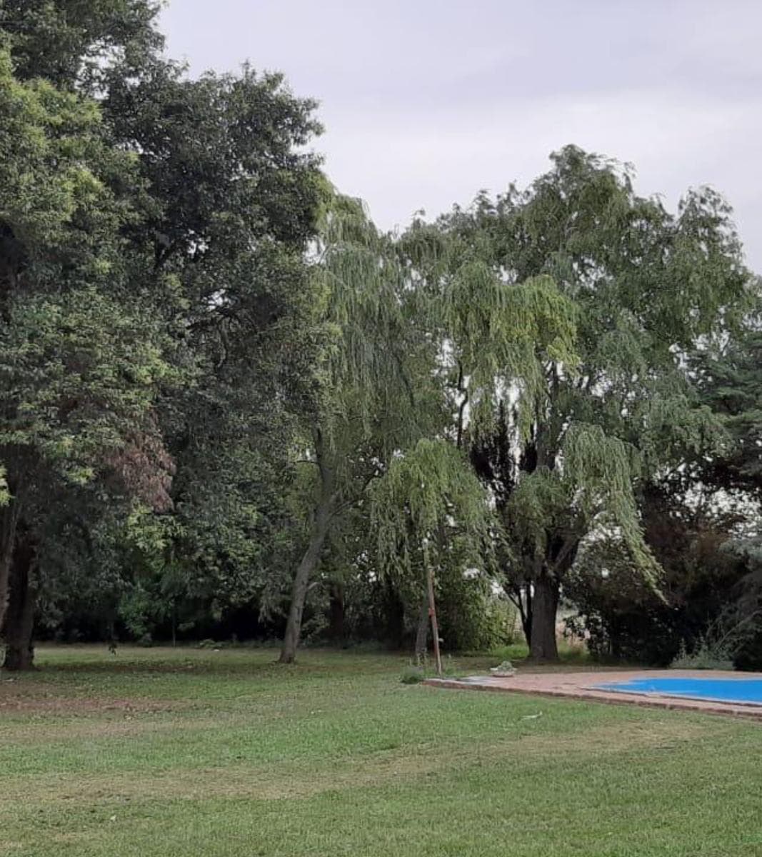 Campo de 30 hectáreas en Pergamino - 1