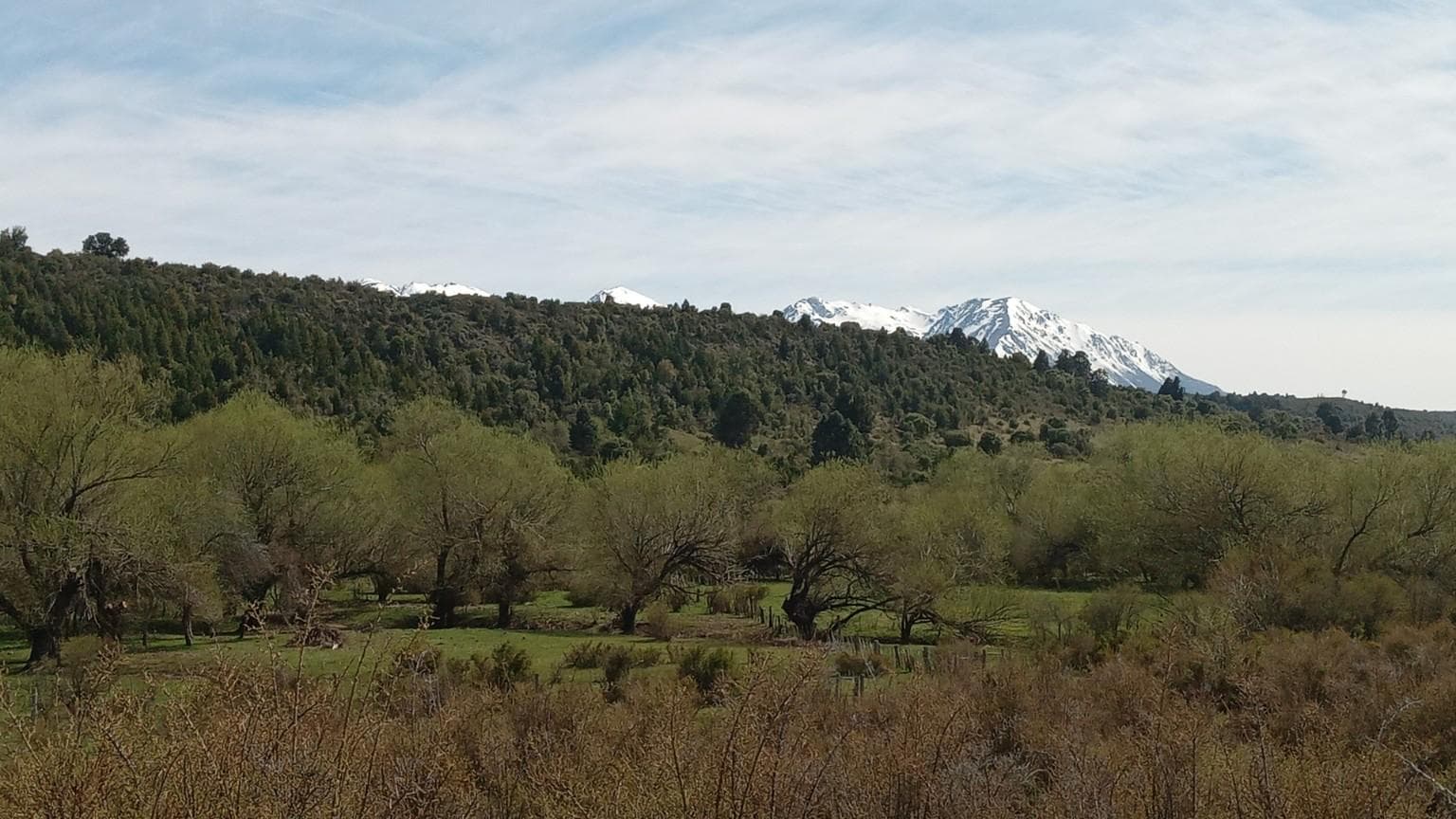Terreno en El Blanco, Cholila - 1