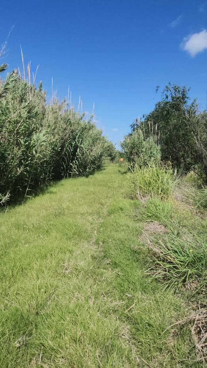 TERRENOS EN VENTA FUNES - 2