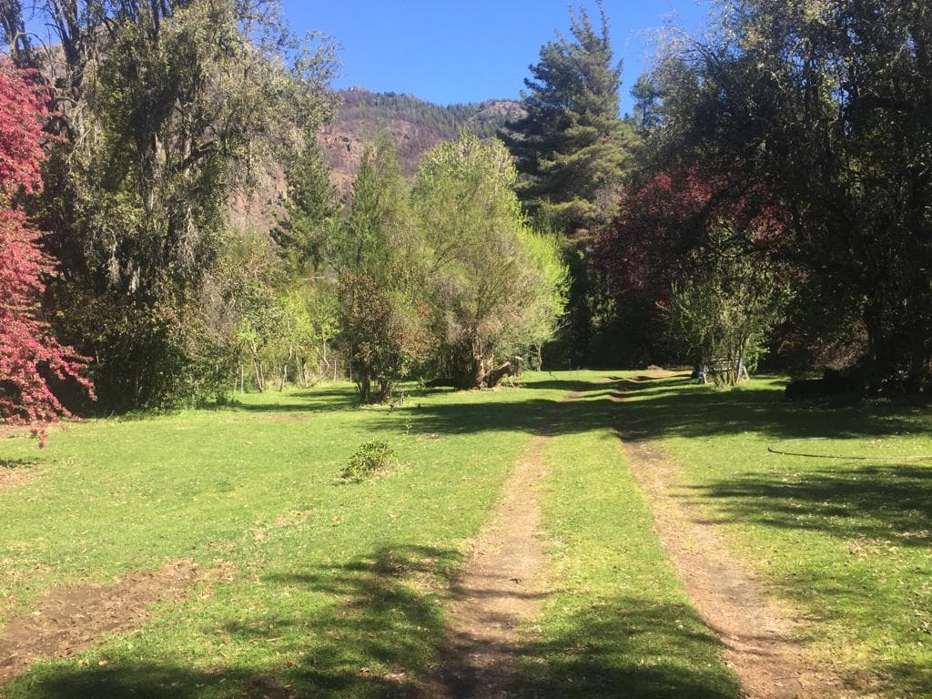 Campo de 7.5 has sobre Ruta 40 a 12 km del Bolson - 1