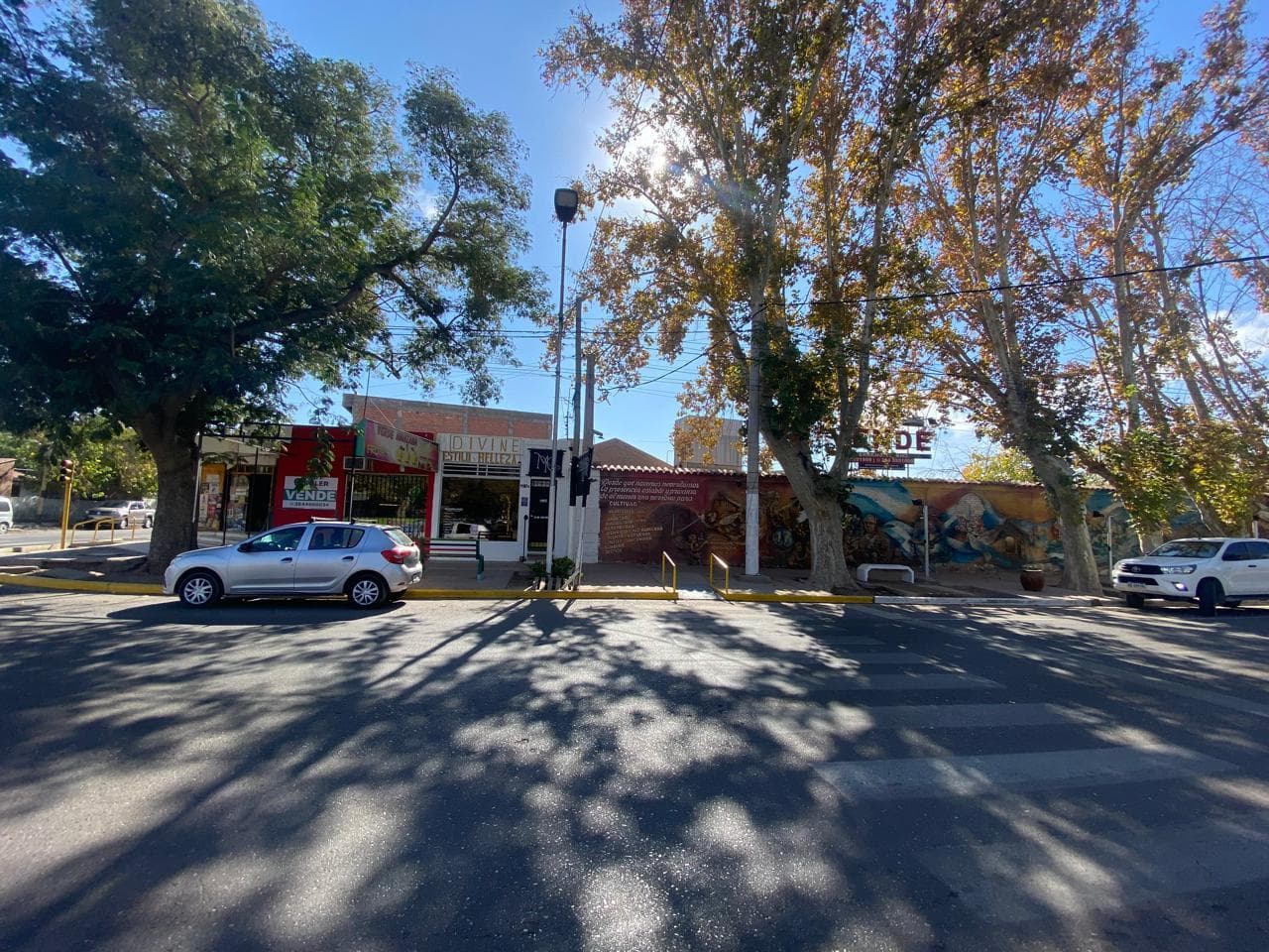 Terreno en Rivadavia - 1