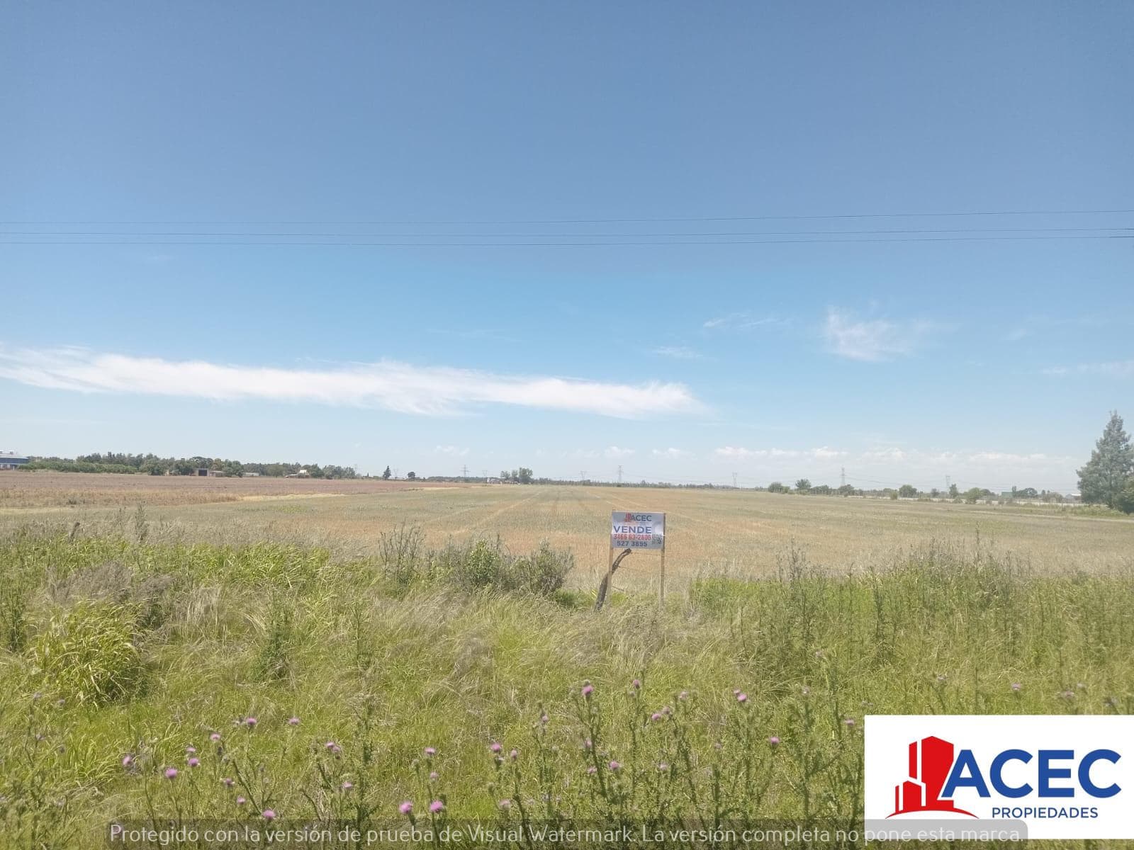 Venta - Campo- Alvear - 1