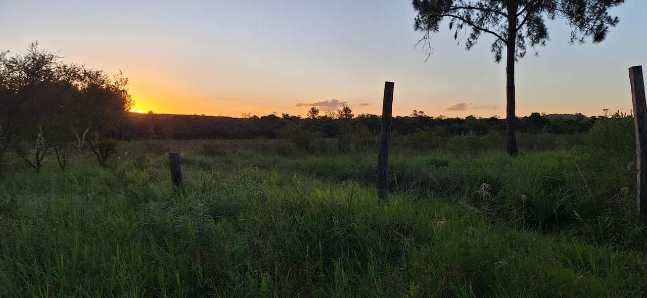 Campo en venta de 80 hs en Apóstoles Misiones - 1