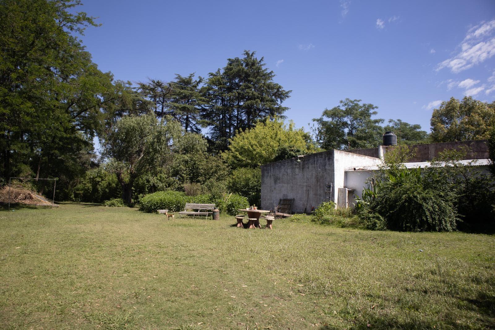 Amplio y arbolado terreno con casa - 1