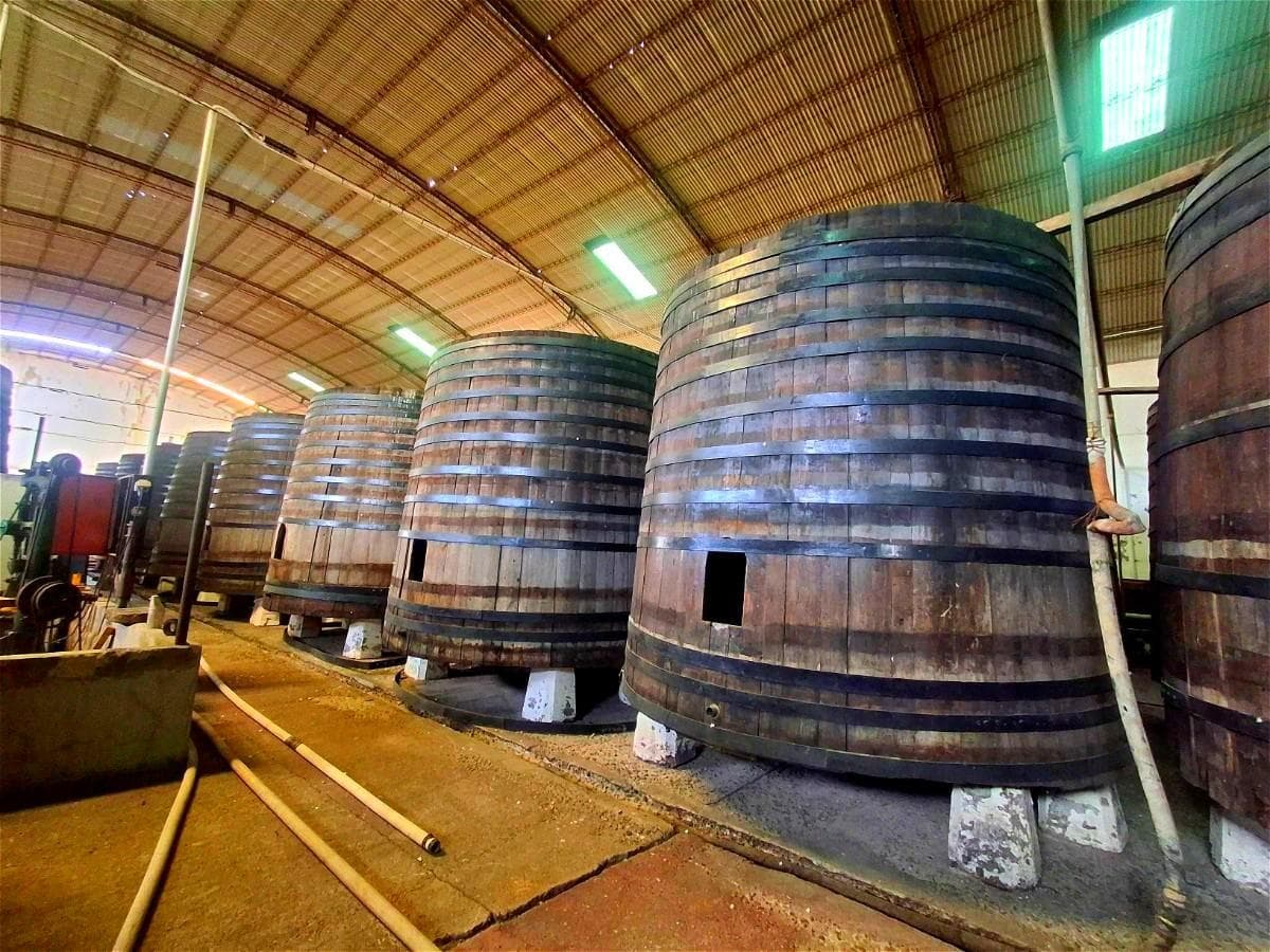 En Venta, Predio de 3.31 Ha, Frente a Ruta 22, General Roca - 1